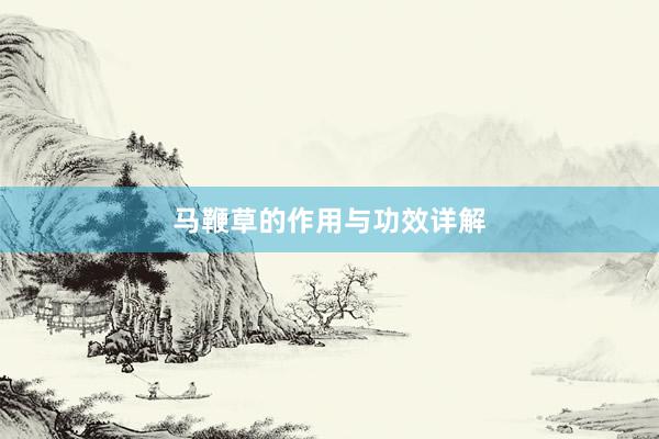 马鞭草的作用与功效详解
