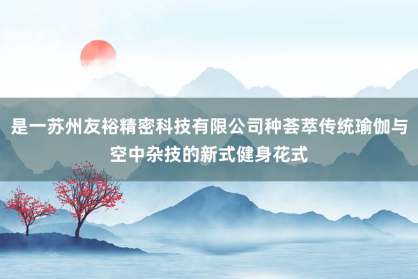 是一苏州友裕精密科技有限公司种荟萃传统瑜伽与空中杂技的新式健身花式